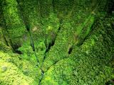  Big Island Tours